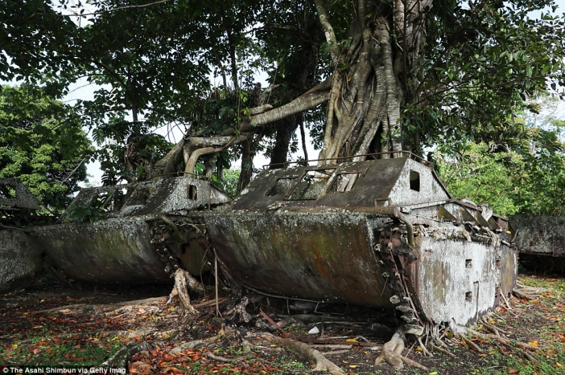 Fighting machines of world war II, lost on a remote island in the Pacific ocean Fighting machines of world war II, lost on a remote island in the Pacific ocean