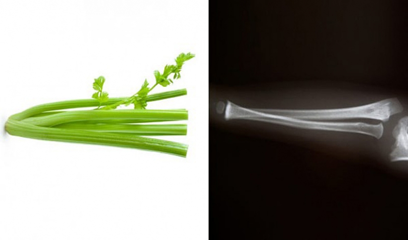 Food is useful for that body part, which is similar Food is useful for that body part, which is similar