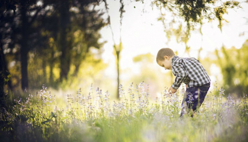Fotógrafo Amateur vs: como uno y el mismo lugar, es transformado en el trabajo del profesional
