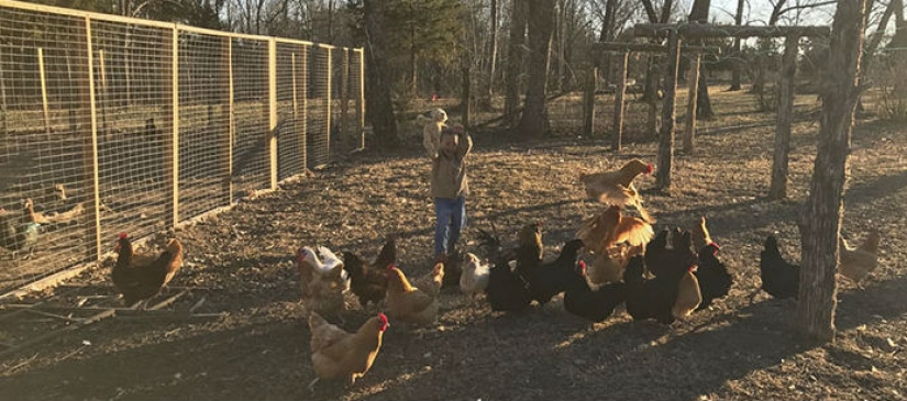 Fotógrafo Amateur vs: como uno y el mismo lugar, es transformado en el trabajo del profesional