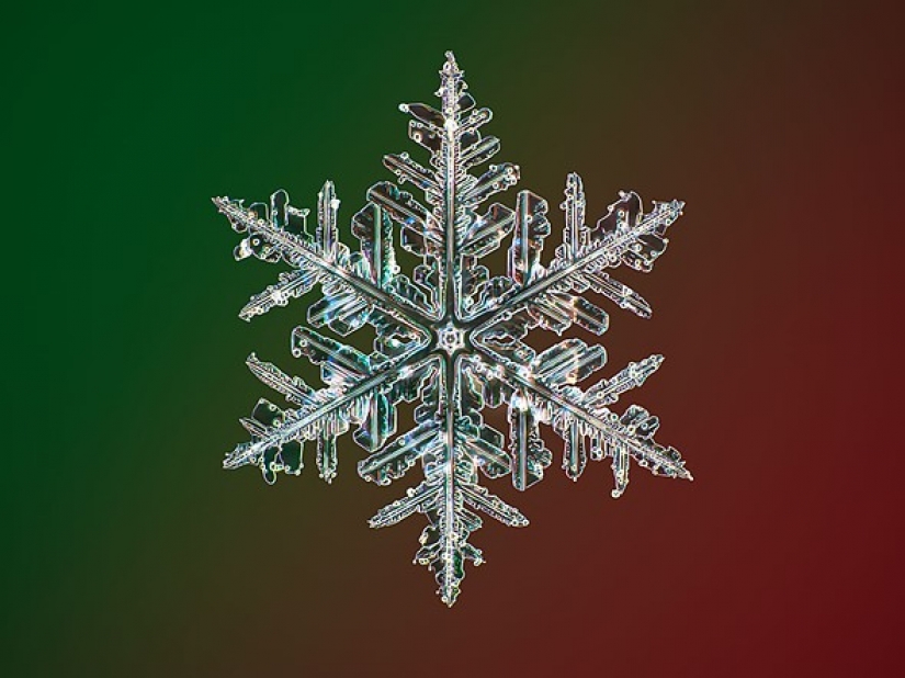 Fotógrafo captura las fotos de copos de nieve de mayor resolución del mundo