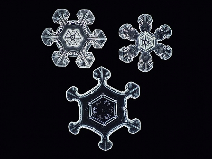 Fotógrafo captura las fotos de copos de nieve de mayor resolución del mundo