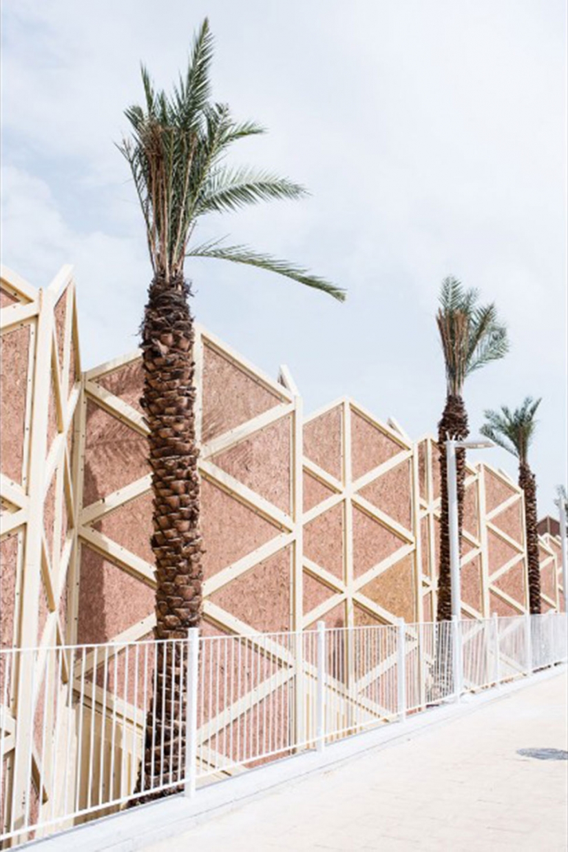 Foto: morir del mar Muerto