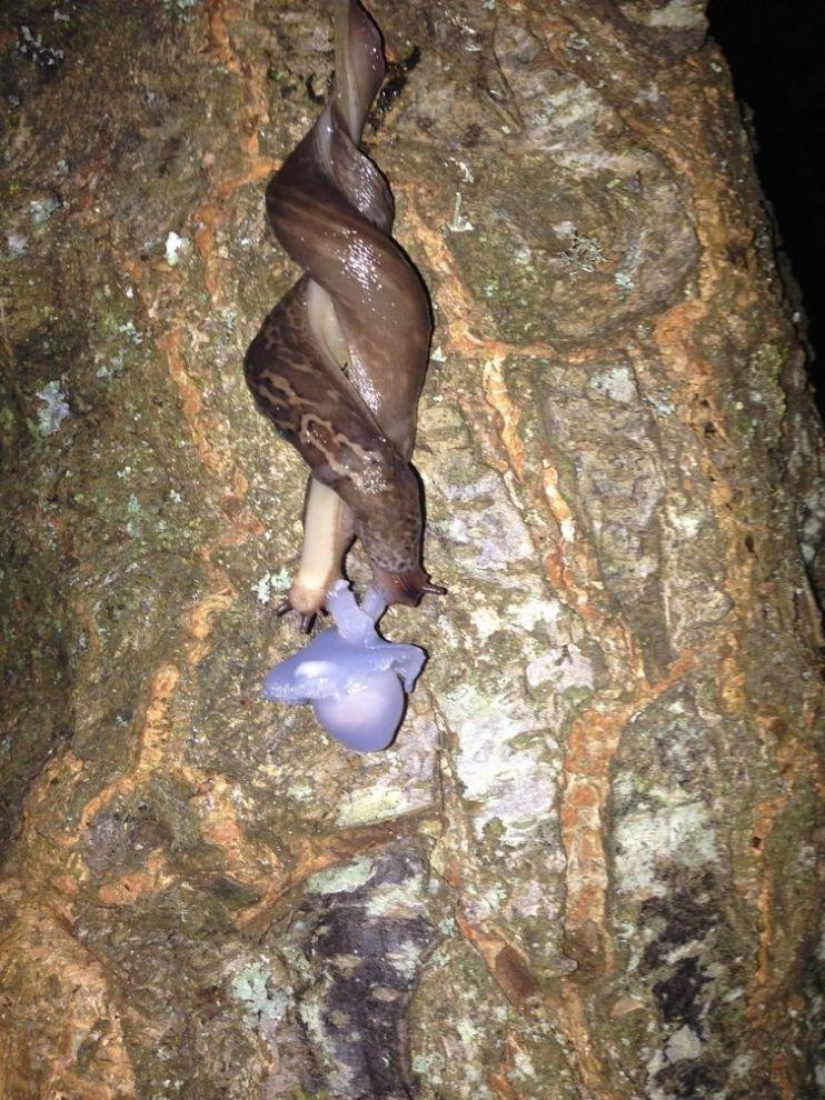 Fotos de cosas increíbles que ver una vez en tu vida