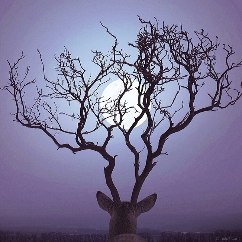 Fotos de mundo irreal: el colorido de la imaginación de Robert Jansa Fotos de mundo irreal: el colorido de la imaginación de Robert Jansa