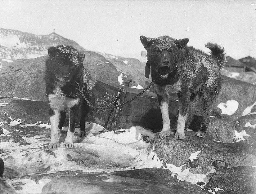 Fotos únicas de la primera expedición Antártica Australiana años 1911-1914