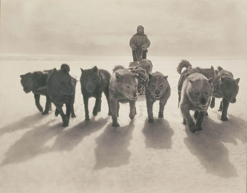 Fotos únicas de la primera expedición Antártica Australiana años 1911-1914