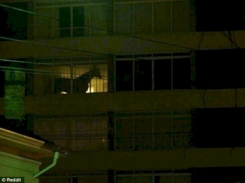 Fotos reales o es una ilusión óptica