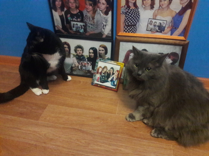 Four girlfriends from Russia 7 years did a joint photo, and this is what came of it Four girlfriends from Russia 7 years did a joint photo, and this is what came of it