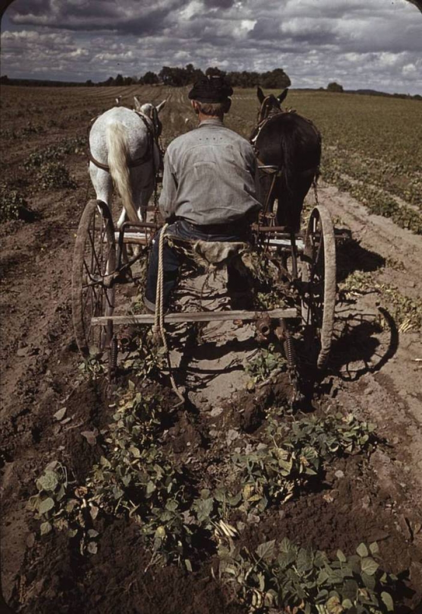 From horses to Ford: as a "domesticated" Wild West From horses to Ford: as a "domesticated" Wild West