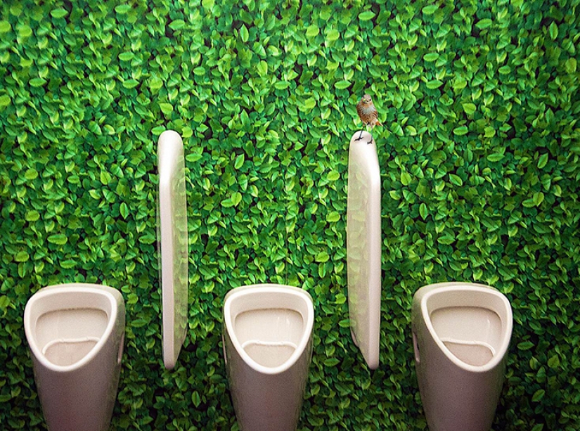Fuera de la necesidad, pero no loco: la más inusual baños públicos