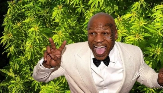 Fun boxer: Mike Tyson raises on his ranch marijuana and treats her guests Fun boxer: Mike Tyson raises on his ranch marijuana and treats her guests