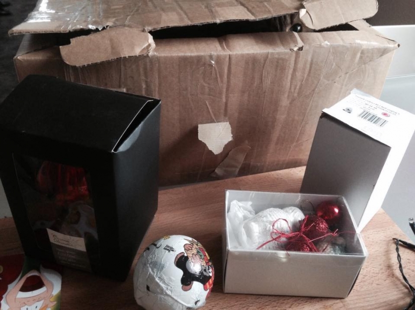 Gatos Ninja que han dominado el arte marcial antiguo de ninjutsu Gatos Ninja que han dominado el arte marcial antiguo de ninjutsu