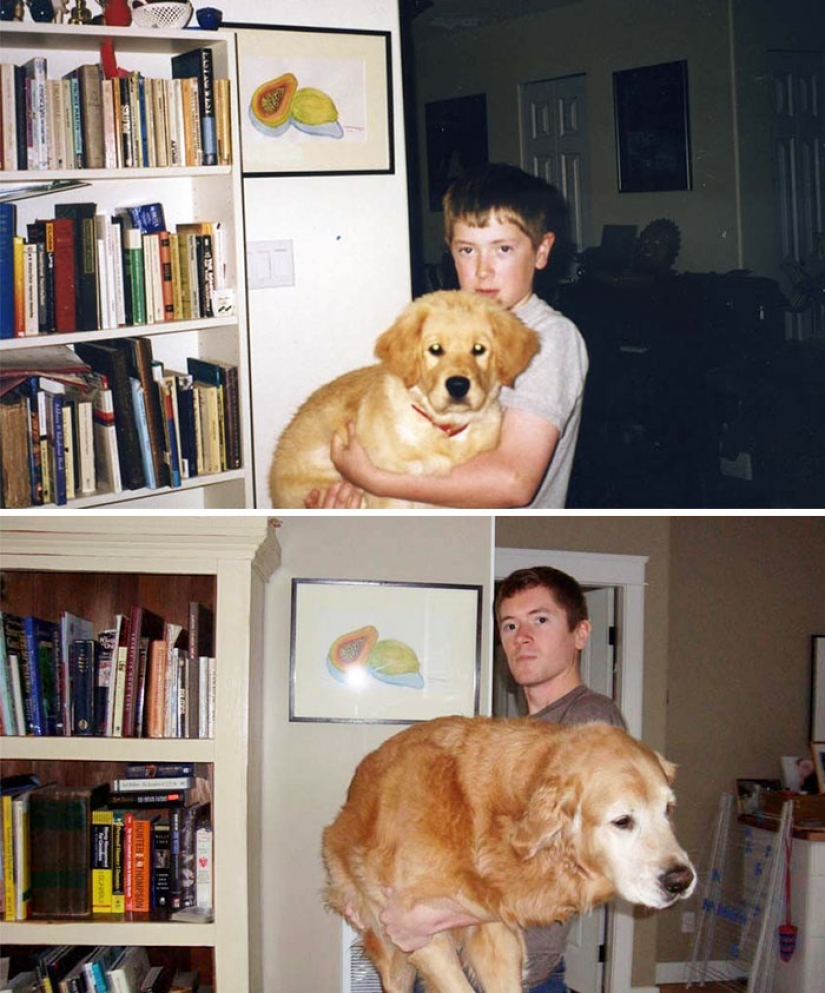 Grew up together: dogs and their owners at the beginning of the friendship through many years Grew up together: dogs and their owners at the beginning of the friendship through many years