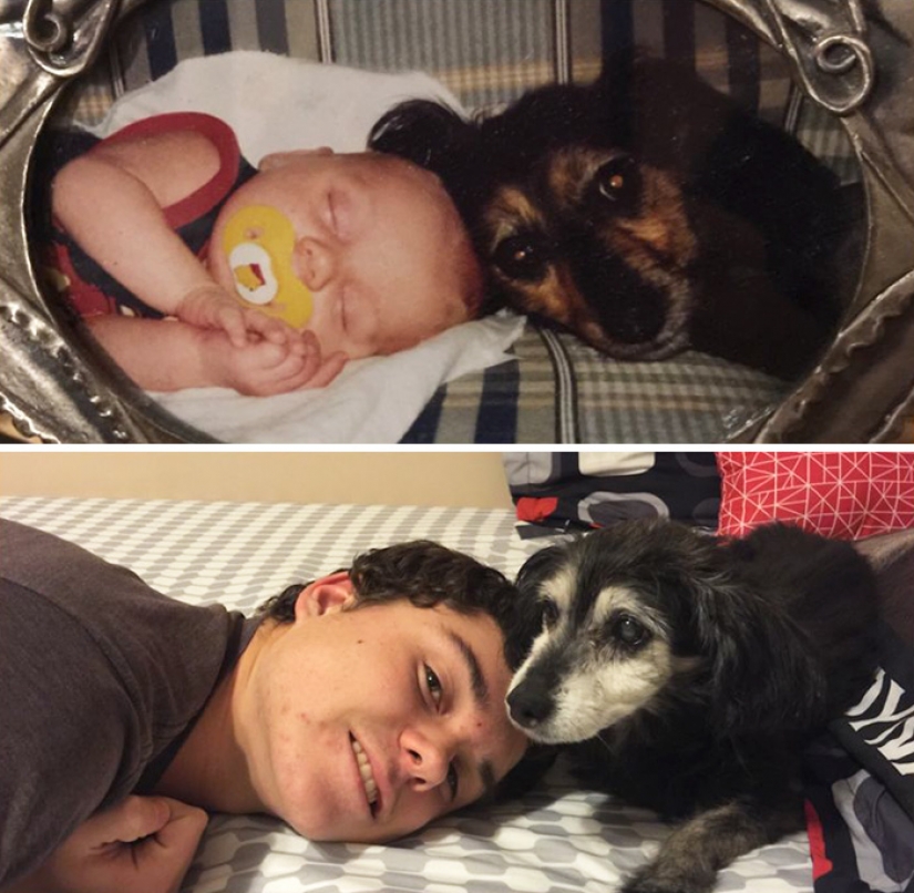 Grew up together: dogs and their owners at the beginning of the friendship through many years Grew up together: dogs and their owners at the beginning of the friendship through many years