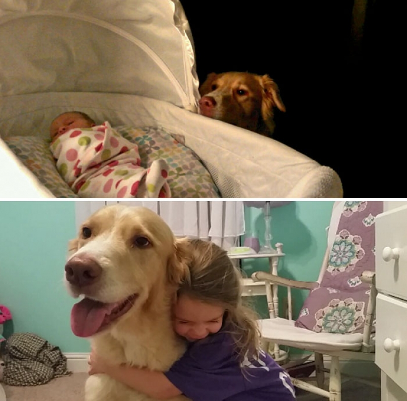 Grew up together: dogs and their owners at the beginning of the friendship through many years Grew up together: dogs and their owners at the beginning of the friendship through many years