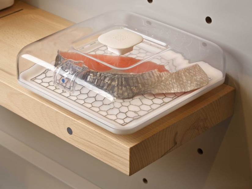 Here in 2025 will look like your kitchen Here in 2025 will look like your kitchen