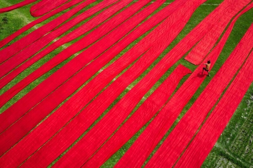 Here is what people around the world means joy and no fun: the best photo contest #Fun2020 from Agora Here is what people around the world means joy and no fun: the best photo contest #Fun2020 from Agora