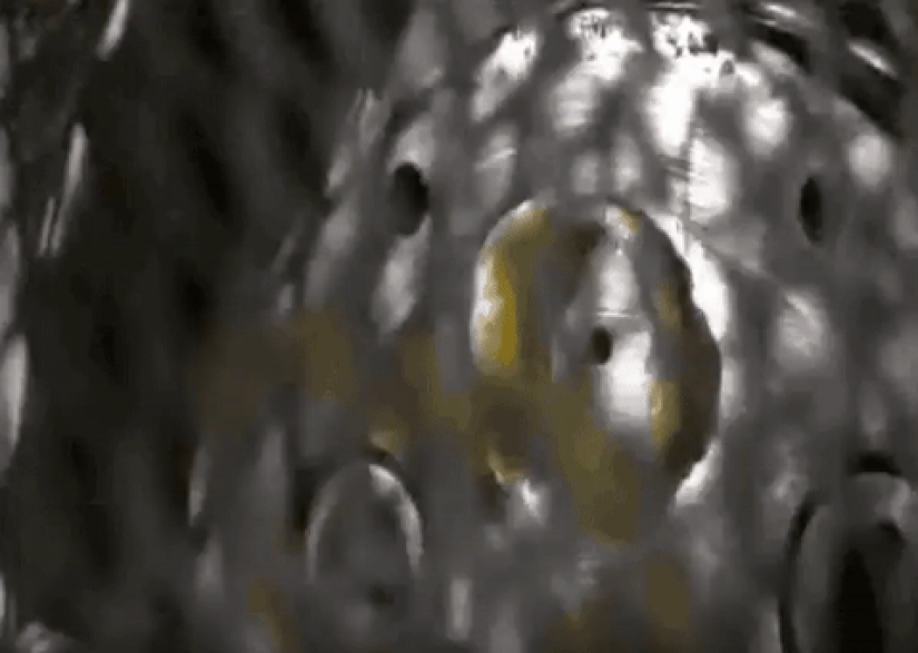 Hipnotizante y muy agradable buscando gifs acerca de cómo hacer que la comida Hipnotizante y muy agradable buscando gifs acerca de cómo hacer que la comida