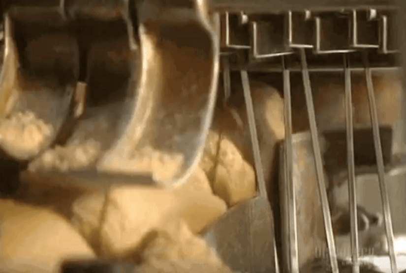 Hipnotizante y muy agradable buscando gifs acerca de cómo hacer que la comida Hipnotizante y muy agradable buscando gifs acerca de cómo hacer que la comida