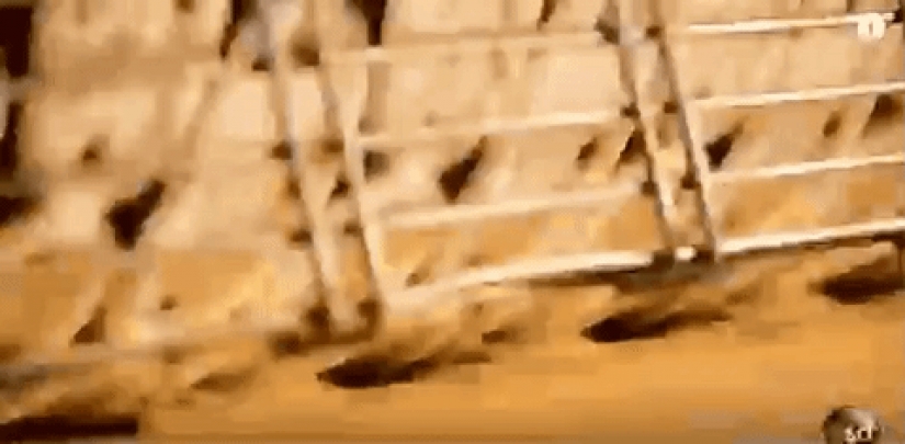 Hipnotizante y muy agradable buscando gifs acerca de cómo hacer que la comida Hipnotizante y muy agradable buscando gifs acerca de cómo hacer que la comida