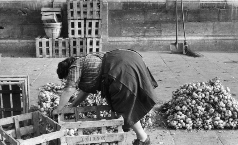 History textbook Marc Ribot