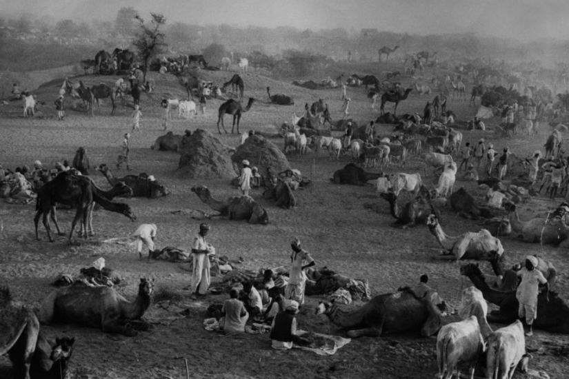 History textbook Marc Ribot