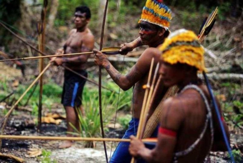 How to go fishing and hunt the Indians of the Amazon How to go fishing and hunt the Indians of the Amazon