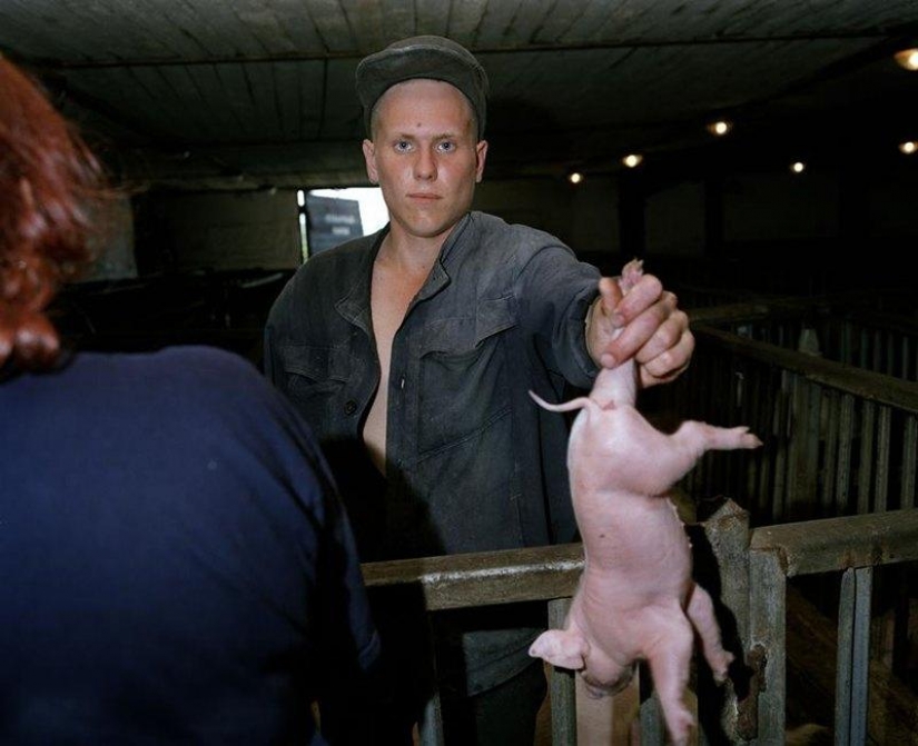 How to live young prisoners in Siberian labor camps