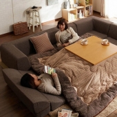 How to spend the winter, not getting out from under the blanket