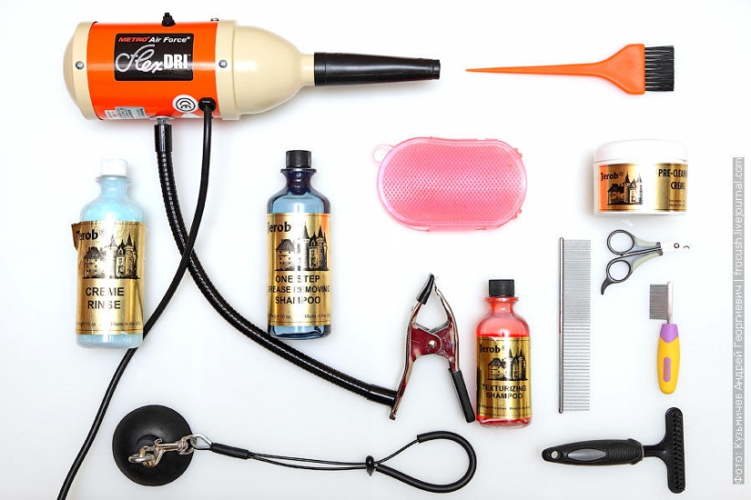 How to wash a cat and live How to wash a cat and live