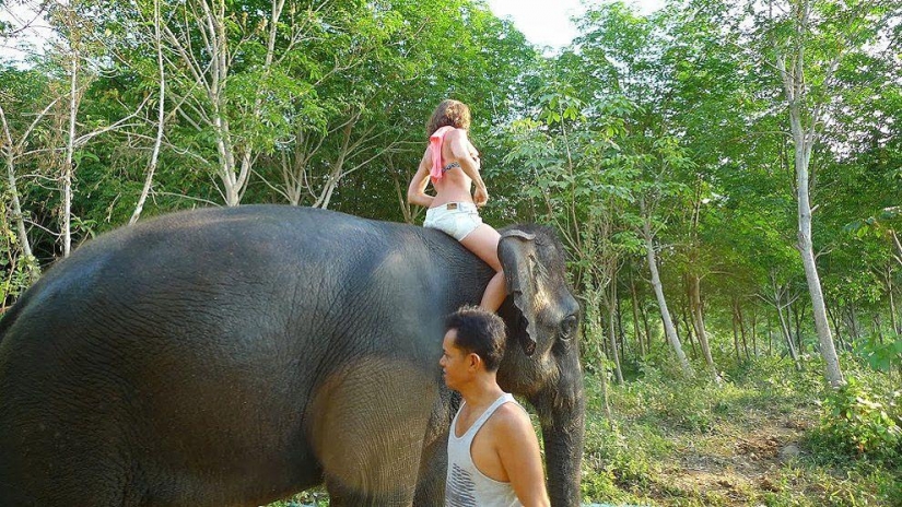 How to wash an elephant