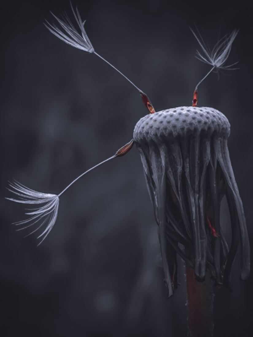 HUAWEI announces the results of the competition Next-2020 Image Awards in Russia