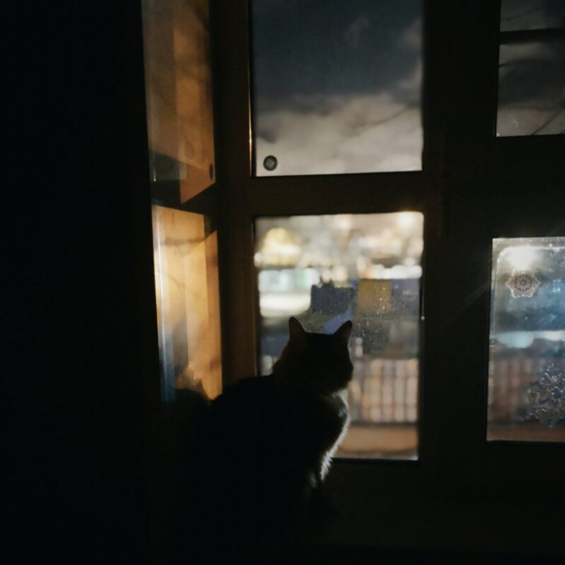 HUAWEI anuncia los resultados de la competición de la Próxima 2020 Imagen de Premios en Rusia