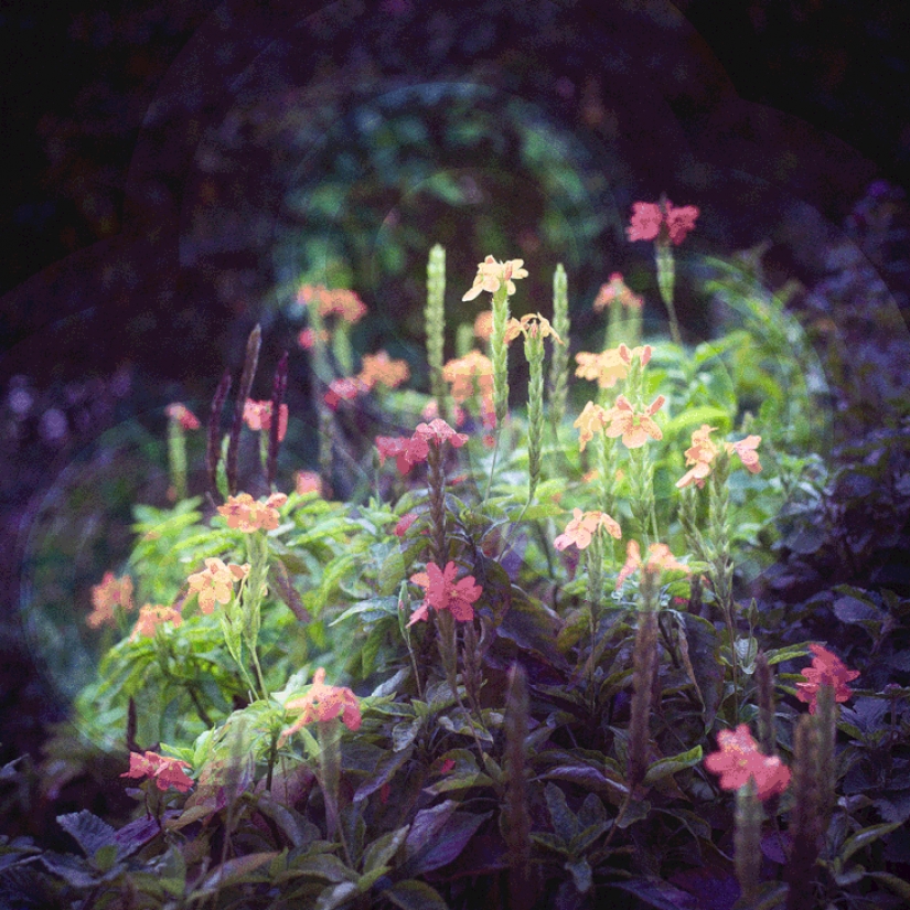 Hypnotic gifs Asian megacities