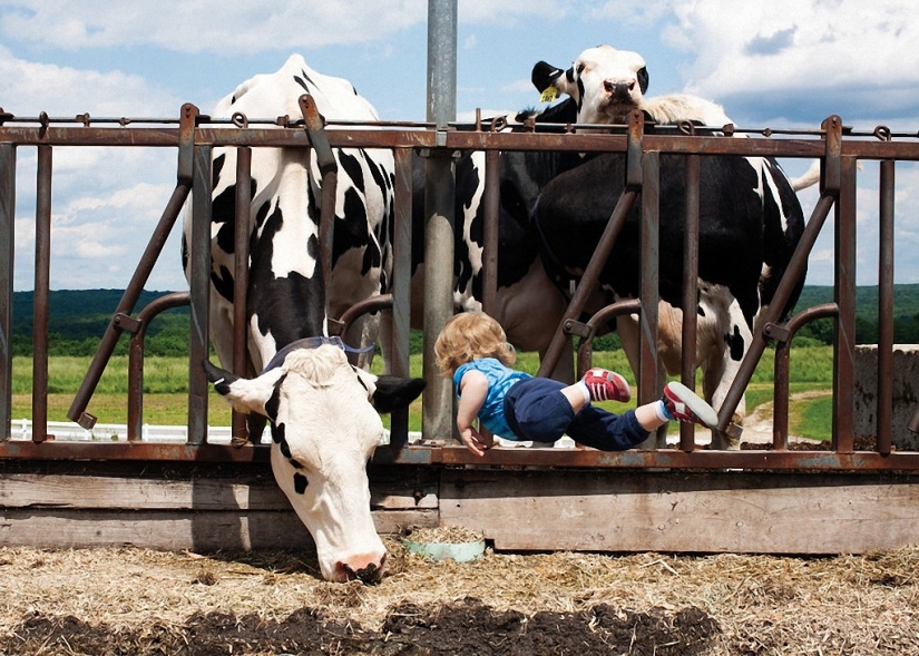 If the children flew: positive sequence bored on maternity leave Rachel Gulin