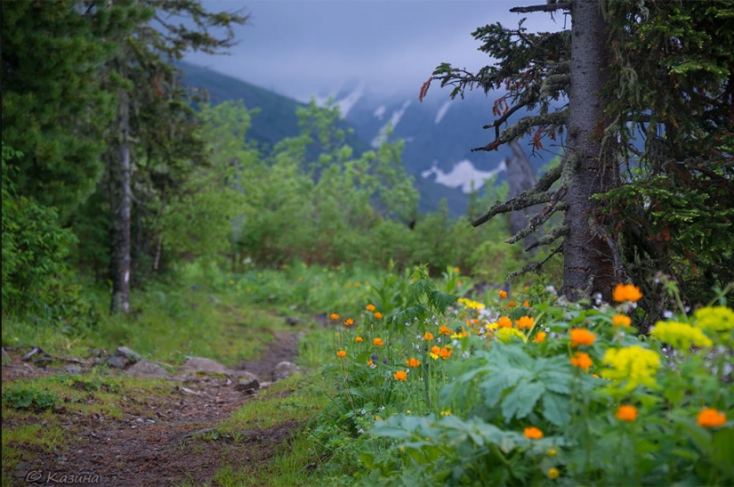 "If you knew how much I have buried friends who were exceptionally healthy way of life!"