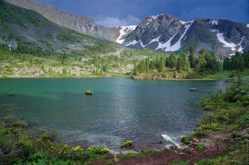 "If you knew how much I have buried friends who were exceptionally healthy way of life!"