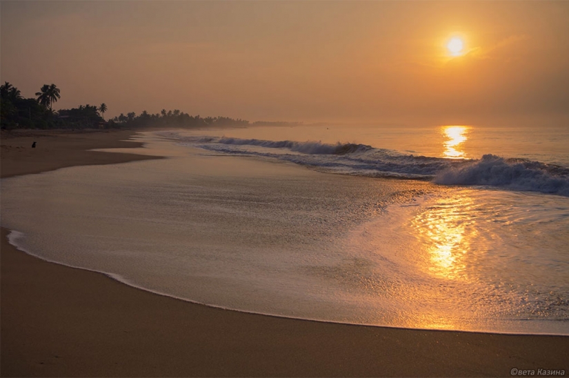 "If you knew how much I have buried friends who were exceptionally healthy way of life!"