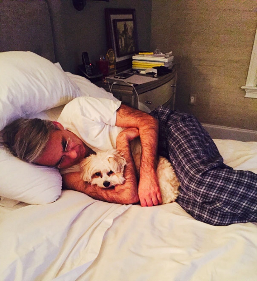 "I'm not a dog person": the fathers, who does not want dogs