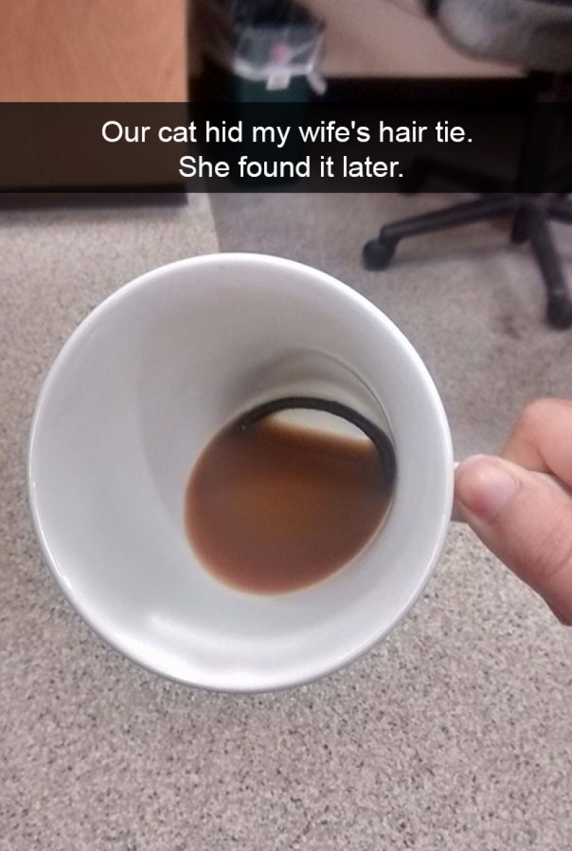 Imágenes de la épica fallos que demostrar que han resultado ser un gran lunes