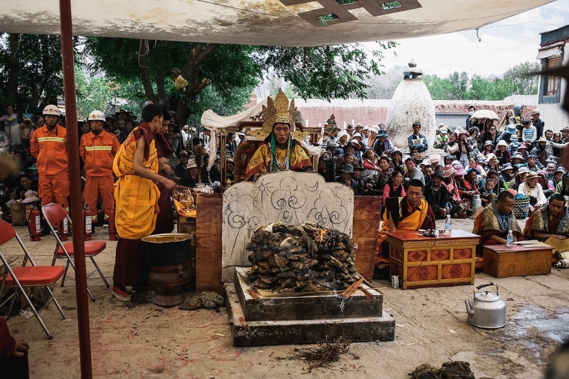 In search of magic: how to celebrate Buddha's birthday