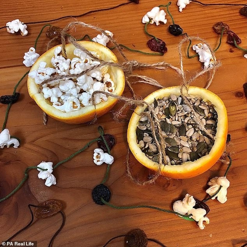 In the new year without waste: as a mother from Britain is preparing for the holidays in eco-style