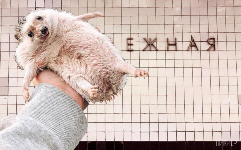 "Ina", "Ilkovskaya" y otras estaciones del metro de Moscú, que nadie sabe