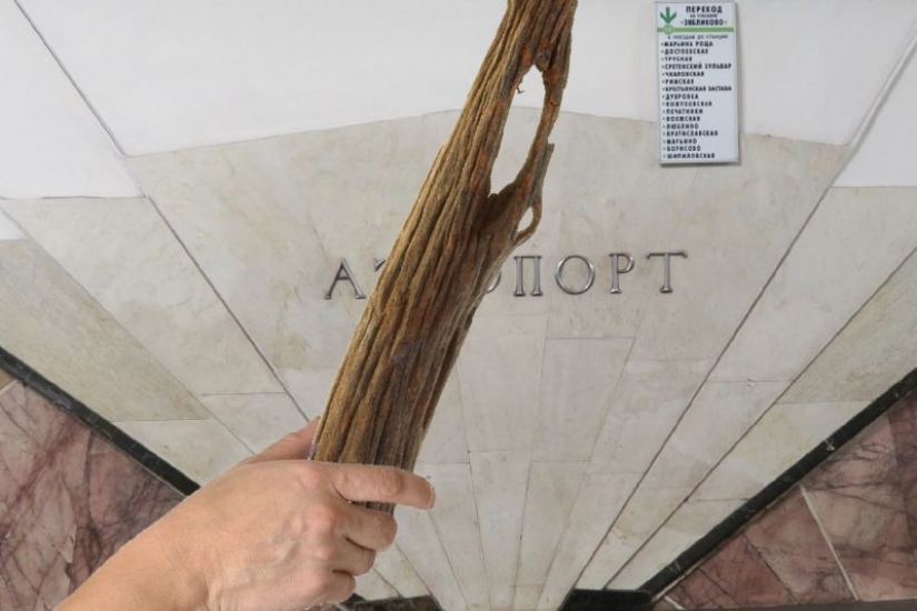 "Ina", "Ilkovskaya" y otras estaciones del metro de Moscú, que nadie sabe