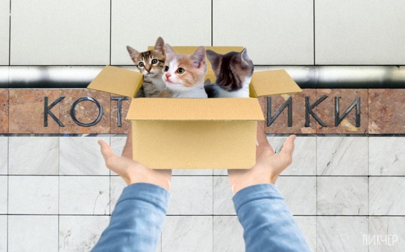 "Ina", "Ilkovskaya" y otras estaciones del metro de Moscú, que nadie sabe