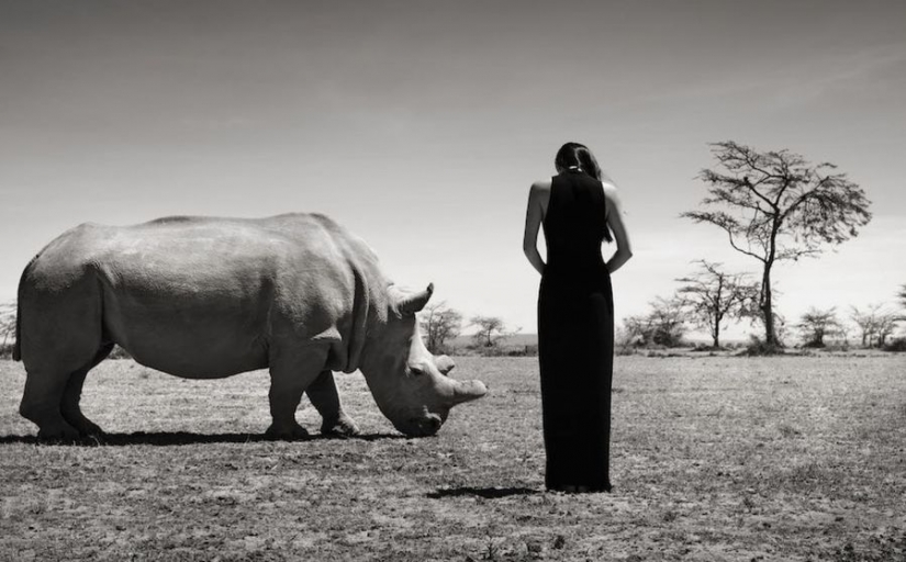 Increíbles retratos de los modelos de Asia y celebridades con animales salvajes Increíbles retratos de los modelos de Asia y celebridades con animales salvajes