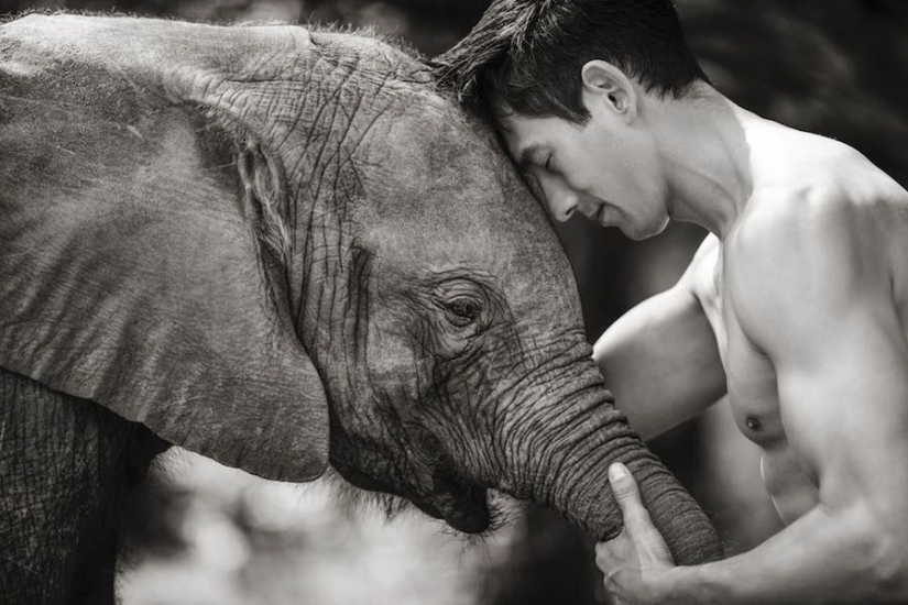 Increíbles retratos de los modelos de Asia y celebridades con animales salvajes Increíbles retratos de los modelos de Asia y celebridades con animales salvajes