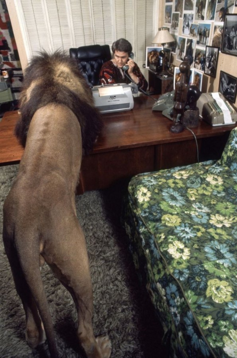 Incredible photos from the ' 70s: Melanie Griffith and lion Neil Incredible photos from the ' 70s: Melanie Griffith and lion Neil