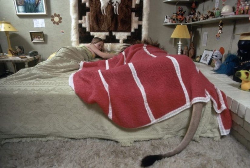 Incredible photos from the ' 70s: Melanie Griffith and lion Neil Incredible photos from the ' 70s: Melanie Griffith and lion Neil